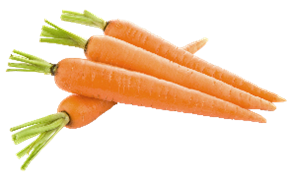 Clear photograph of carrots with a white background